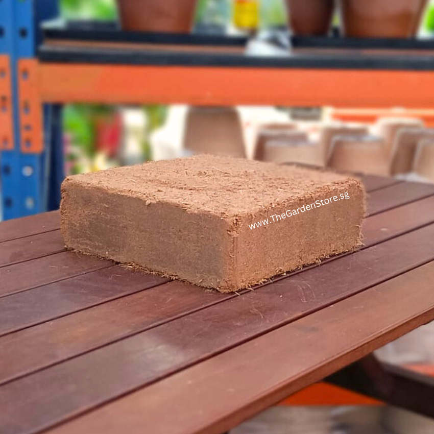 COCOPEAT BLOCK 30X30X10CM